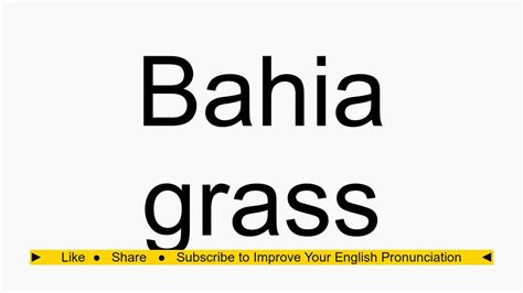 how to pronounce bahia grass.